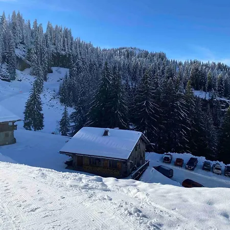 Le Ruisseau, Lindarets, Authentique, 11 Personnes Montriond