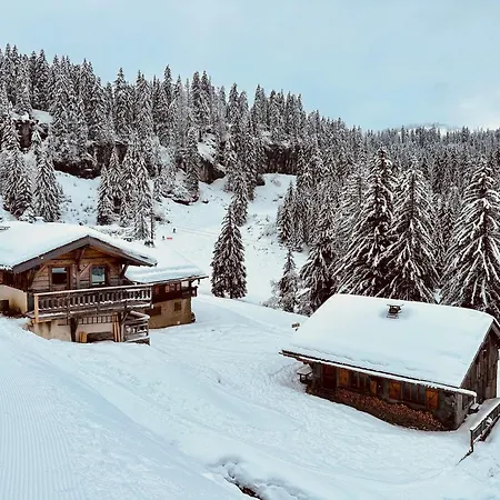 Le Ruisseau, Lindarets, Authentique, 11 Personnes Montriond