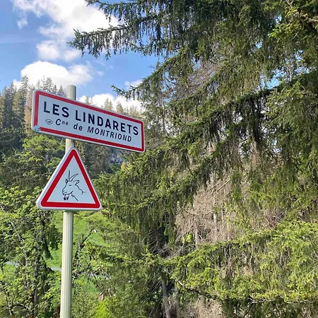 Le Ruisseau, Lindarets, Authentique, 11 Personnes Chalet